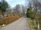 24.03.2012 in gradinile cartierului 009