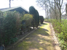 24.03.2012 in gradinile cartierului 029