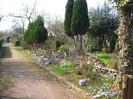 24.03.2012 in gradinile cartierului 032
