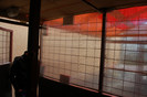 finalizare_voliera_30_martie_2012_ (2)