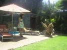 Popstar photoshoot behind the scenes (996)
