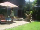 Popstar photoshoot behind the scenes (997)