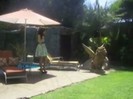 Popstar photoshoot behind the scenes (1009)