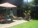 Popstar photoshoot behind the scenes (1067)