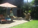 Popstar photoshoot behind the scenes (1068)
