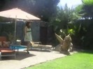 Popstar photoshoot behind the scenes (1110)