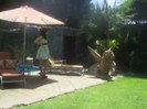 Popstar photoshoot behind the scenes (1132)