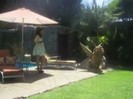 Popstar photoshoot behind the scenes (1133)