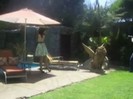 Popstar photoshoot behind the scenes (1144)