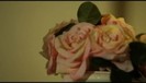 Demi Lovato - Give Your Heart a Break VEVO Teaser (372)
