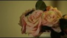 Demi Lovato - Give Your Heart a Break VEVO Teaser (373)