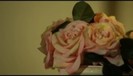 Demi Lovato - Give Your Heart a Break VEVO Teaser (375)
