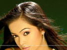 99602-pooja-pihal