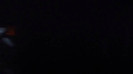 Demi Lovato - Lightweight Live - A Special Night With Demi Lovato (3293)