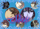 shiki