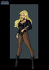 black_canary_by_nightwing1975-d3dpsse