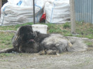 DSCN2515