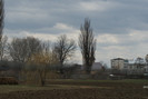 DSC00162