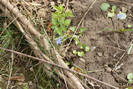 DSC00170