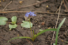 DSC00174