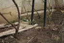 DSC00180
