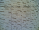 Piatra decorativa 1