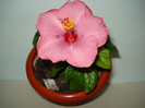 DSC02028