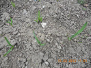 DSCN0277
