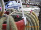 DSCN0290
