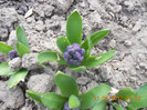 DSCN0291