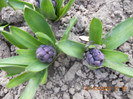 DSCN0292