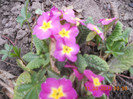 DSCN0272