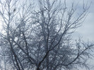 P1200598