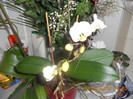 DSCN0312