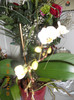 DSCN0313
