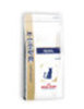 phpThumb4b12