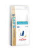 phpThumb6dac