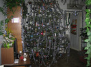 IMG_9829 - brad