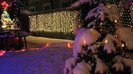IMG_0256 - luminile de Craciun in curte