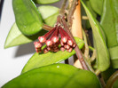 DSCN7653
