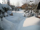 IMG_7438 - zapada in curte