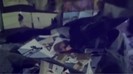 Demi - Lovato - Give - Your - Heart - A - Break (3878)