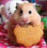 mmmm ce bun este!