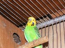DSCF3081