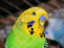 DSCF3089