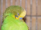 DSCF3138