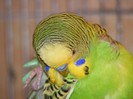 DSCF3140
