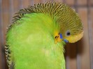 DSCF3142