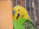 DSCF3144