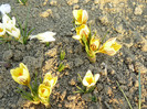 Picture 037